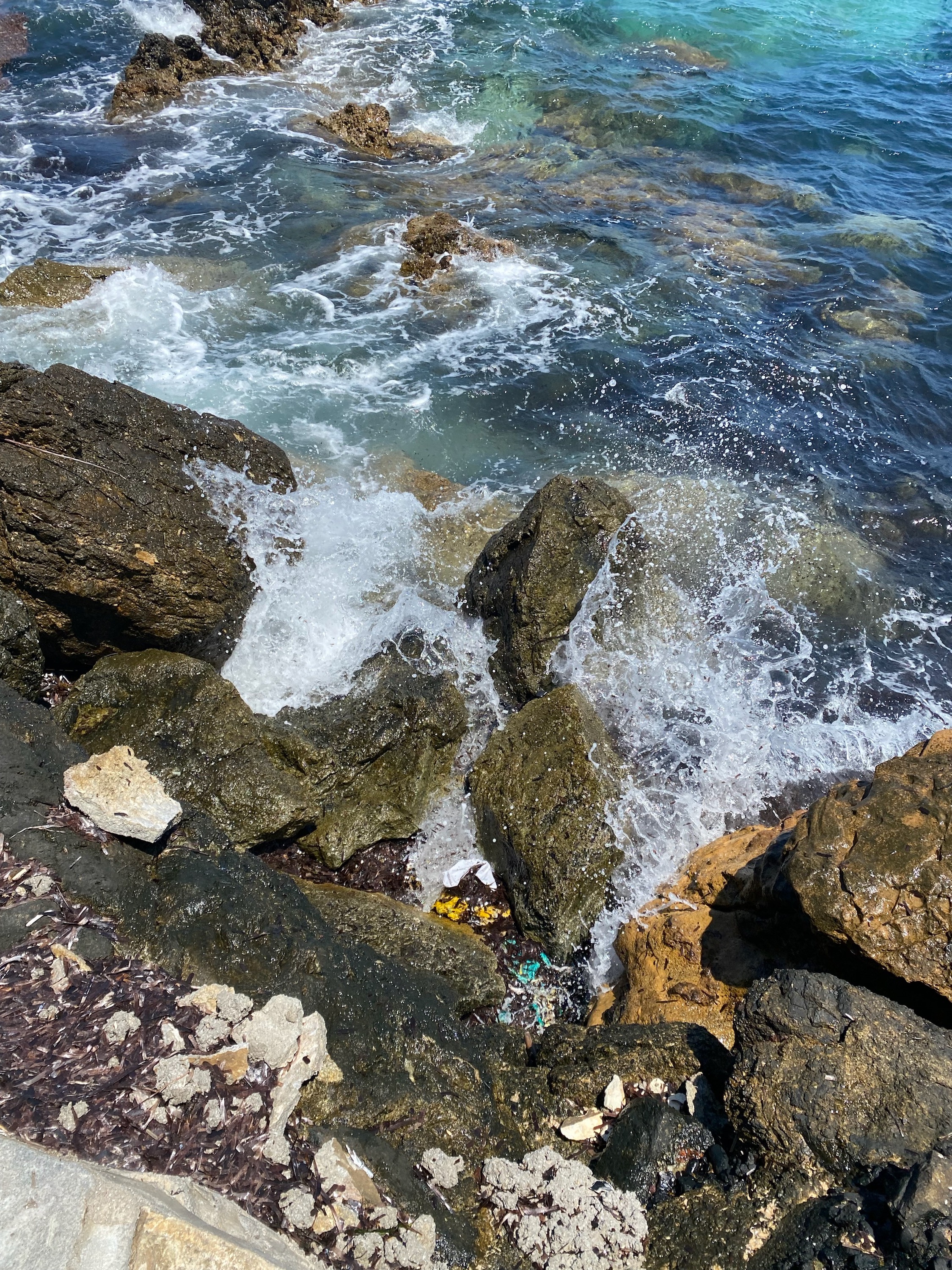 Ocean